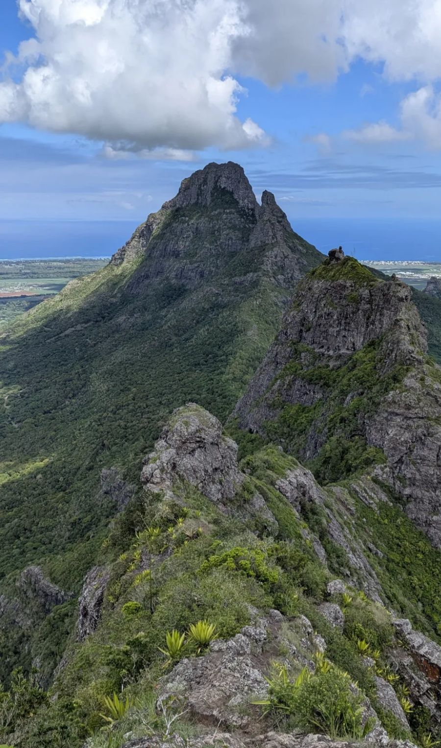 Lion Mountain View 1