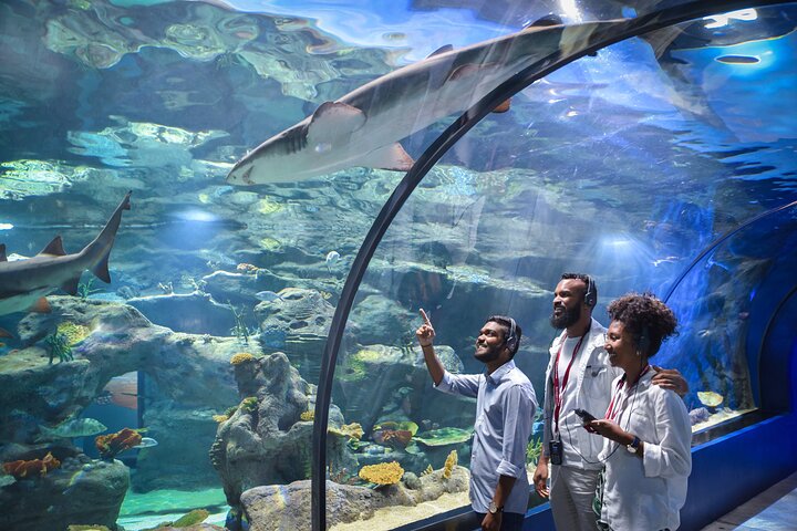 Odysseo Oceanarium